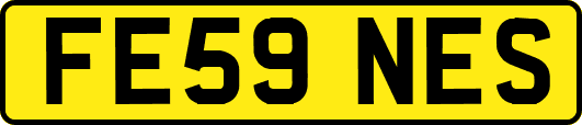 FE59NES