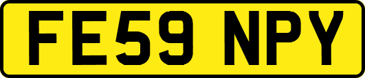 FE59NPY