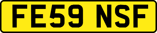 FE59NSF