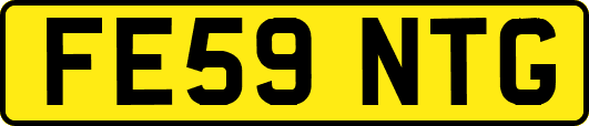 FE59NTG