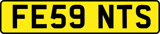 FE59NTS