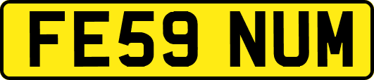 FE59NUM