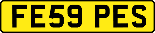 FE59PES