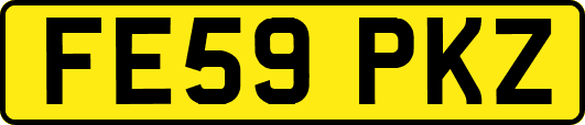 FE59PKZ