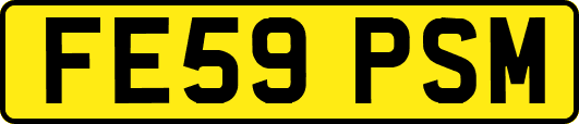 FE59PSM