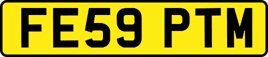 FE59PTM