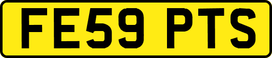 FE59PTS