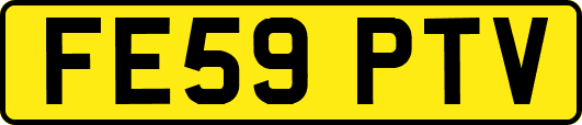 FE59PTV