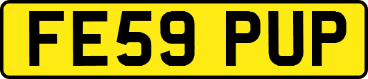 FE59PUP