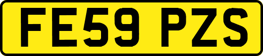 FE59PZS