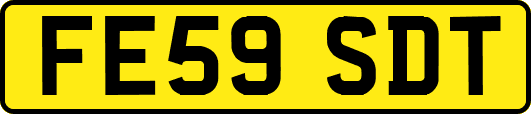 FE59SDT