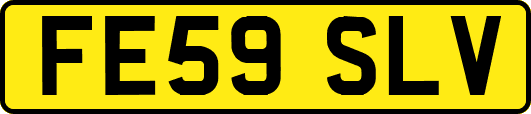 FE59SLV