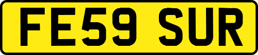 FE59SUR