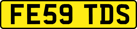 FE59TDS