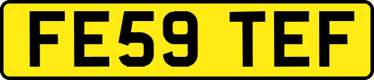 FE59TEF