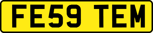 FE59TEM