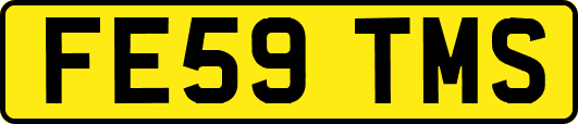 FE59TMS