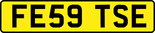 FE59TSE