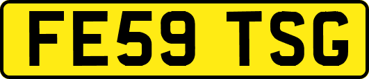 FE59TSG