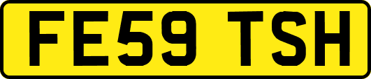 FE59TSH