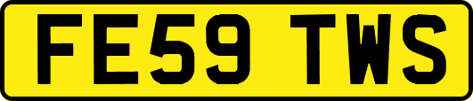 FE59TWS