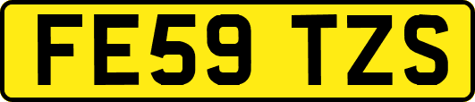 FE59TZS
