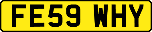 FE59WHY