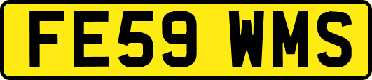 FE59WMS