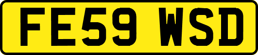 FE59WSD