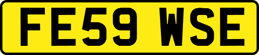 FE59WSE