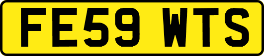 FE59WTS