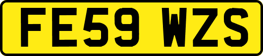 FE59WZS