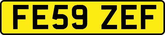 FE59ZEF