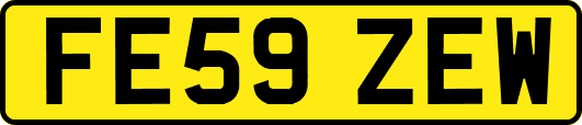 FE59ZEW