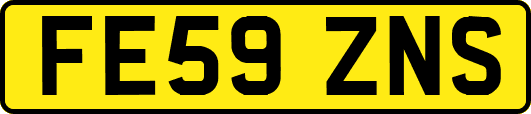 FE59ZNS