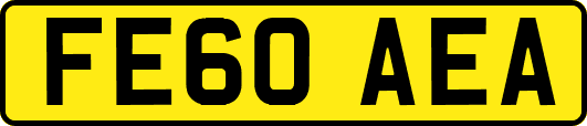 FE60AEA