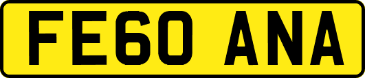 FE60ANA