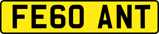 FE60ANT