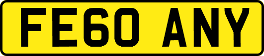 FE60ANY