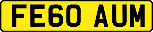 FE60AUM