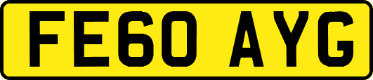FE60AYG