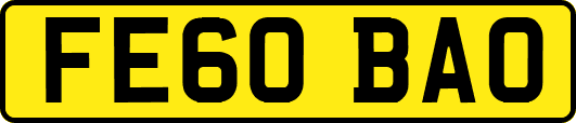 FE60BAO