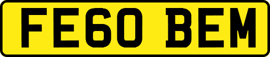 FE60BEM