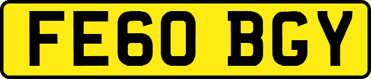 FE60BGY