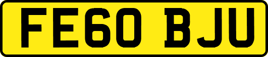 FE60BJU