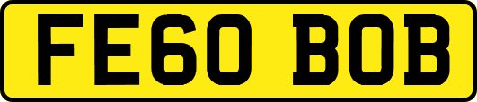 FE60BOB