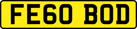 FE60BOD