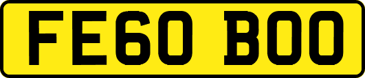 FE60BOO