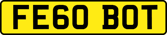 FE60BOT