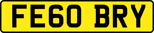 FE60BRY